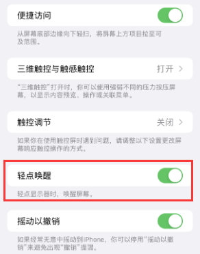 琅琊苹果授权维修站分享iPhone轻点无法唤醒怎么办 