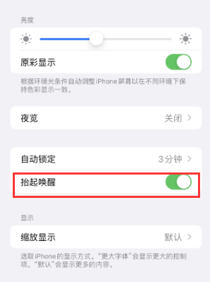 琅琊苹果授权维修站分享iPhone轻点无法唤醒怎么办