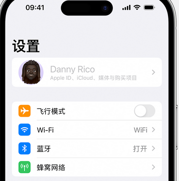 琅琊appleID维修服务iPhone设置中Apple ID显示为灰色无法使用 