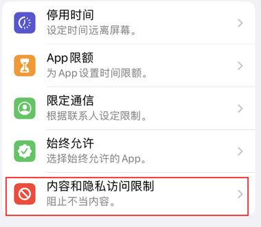 琅琊appleID维修服务iPhone设置中Apple ID显示为灰色无法使用