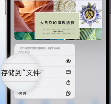 琅琊apple维修中心分享iPhone文件应用中存储和找到下载文件