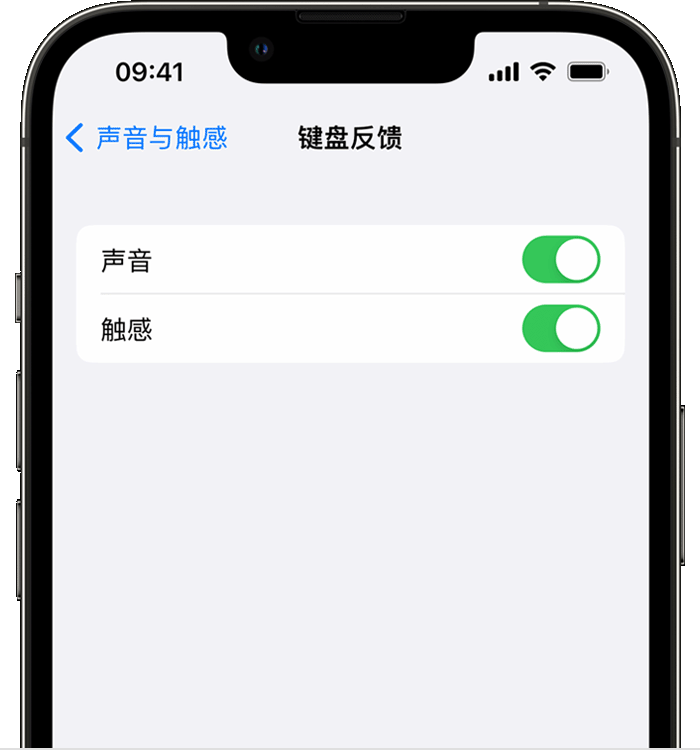 琅琊苹果14维修店分享如何在 iPhone 14 机型中使用触感键盘 