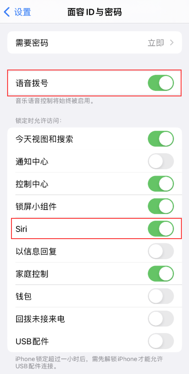 琅琊苹果维修网点分享不解锁 iPhone 的情况下通过 Siri 拨打电话的方法 