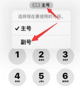 琅琊苹果14维修店分享iPhone 14 Pro Max使用副卡打电话的方法 