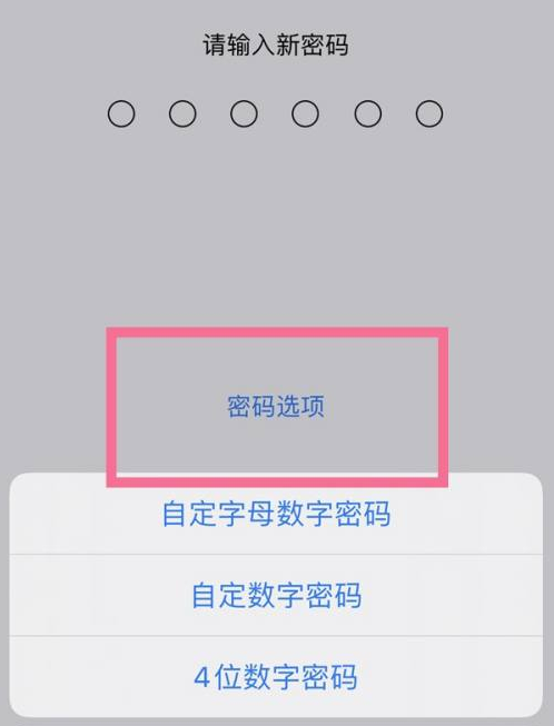 琅琊苹果14维修分享iPhone 14plus设置密码的方法 