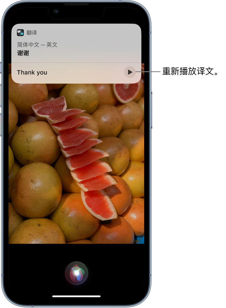 琅琊苹果14维修分享 iPhone 14 机型中使用 Siri：了解 Siri 能帮你做什么 