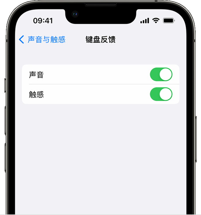 琅琊苹果14维修分享iPhone 14 系列机型如何开启键盘声音或触感反馈 