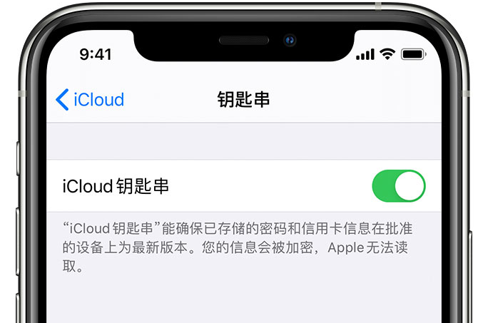 琅琊苹果手机维修分享在 iPhone 上开启 iCloud 钥匙串之后会储存哪些信息 