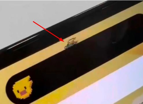 琅琊苹果14维修分享iPhone 14 Pro Max灵动岛怎么养宠物 