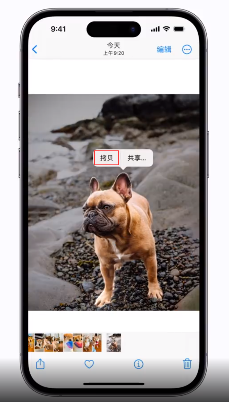 琅琊苹果手机维修分享 iOS 16 自带一键抠图功能 