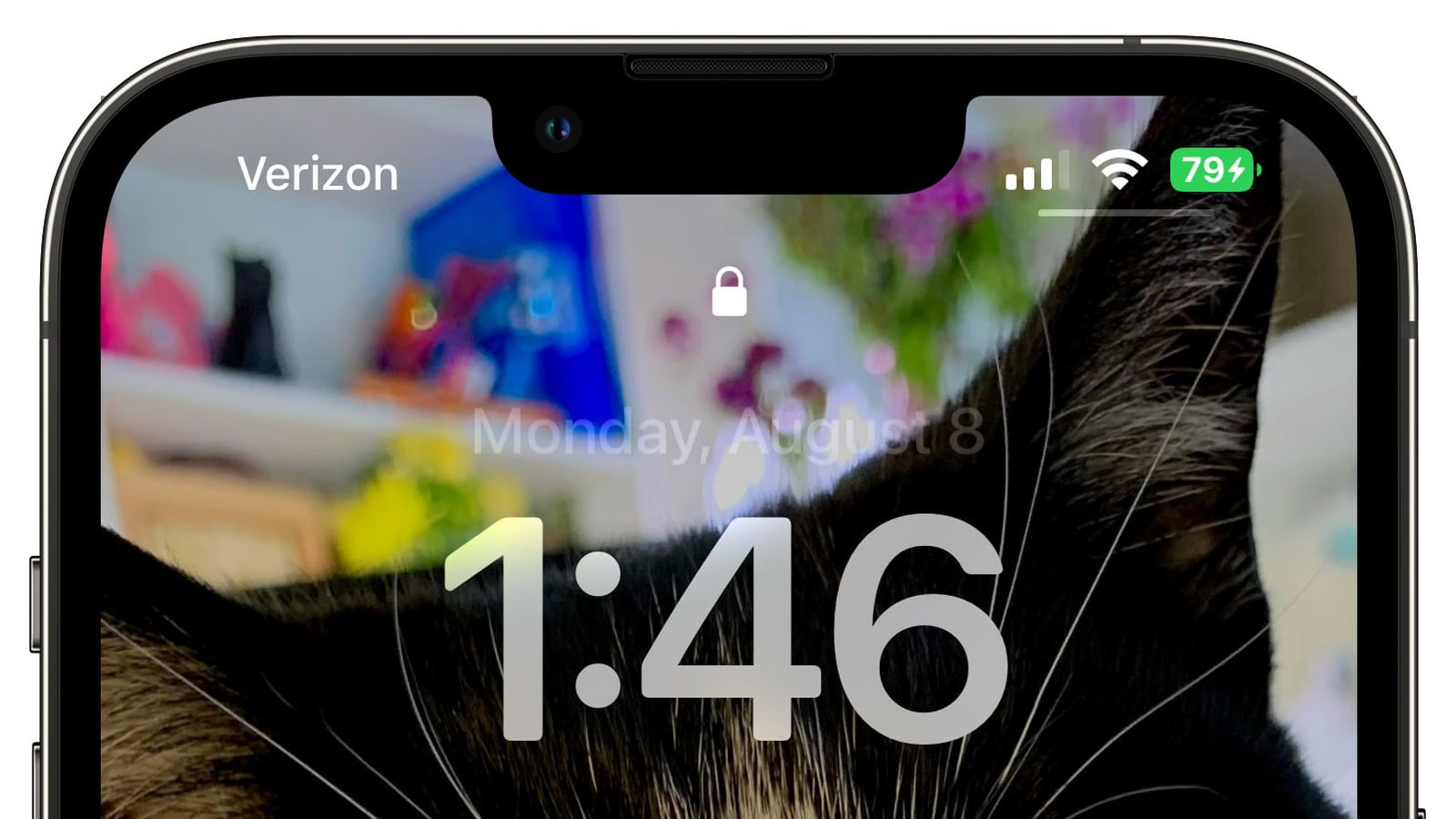 琅琊苹果手机维修分享iOS 16 beta 5 支持状态栏显示电池百分比，如何开启？支持哪些机型 