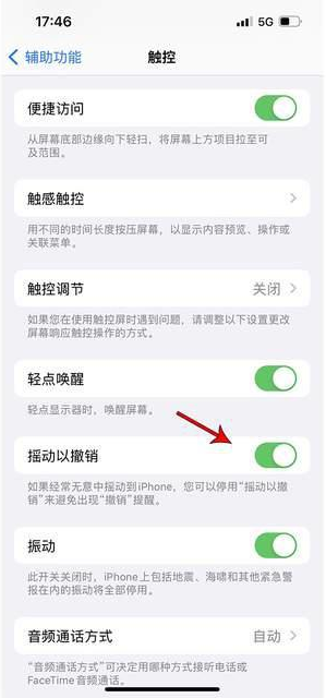 琅琊苹果手机维修分享iPhone手机如何设置摇一摇删除文字 