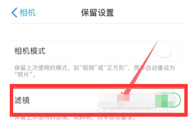 琅琊苹果13维修分享iPhone13拍照有绿点是怎么回事 