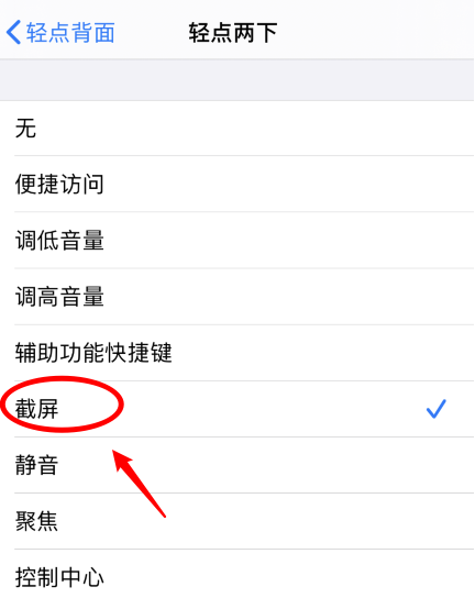 琅琊苹果手机维修分享iPhone12如何启用双击截屏 