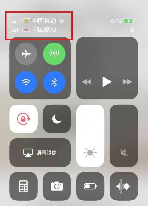 琅琊苹果手机维修分享为 iPhone 12 双卡设置标签 