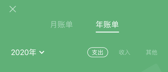 琅琊苹果手机维修分享如何在 iPhone 上查看支付宝和微信年支出账单 